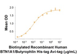 R&D Systems™ Recombinant Human BTN1A1/Butyrophilin His Avi Protein