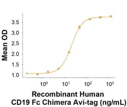 R&D Systems&trade;&nbsp;Recombinant Human CD19 Fc Chimera Avi-tag Protein