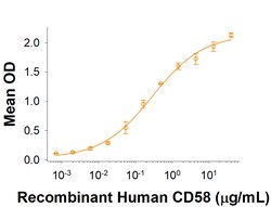 R D Systems Recombinant Cynomolgus CD2 Fc Chimera Protein 50 &mu;g | Buy Online | R&amp;D Systems&trade; | Fisher Scientific