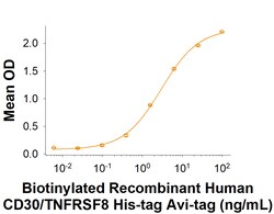 R D Systems Recombinant Human CD30/TNFRSF8 His-tag Avi-tag Protein 50 &mu;g | Buy Online | R&amp;D Systems&trade; | Fisher Scientific