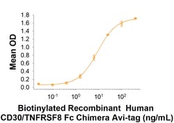 R D Systems Recombinant Human CD30/TNFRSF8 Fc Avi-tag Protein 50 &mu;g | Buy Online | R&amp;D Systems&trade; | Fisher Scientific