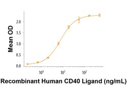 R D Systems Recombinant Cynomolgus Monkey CD40/TNFRSF5 Fc Chimera 100 &mu;g | Buy Online | R&amp;D Systems&trade; | Fisher Scientific