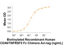 R&D Systems&trade;&nbsp;Recombinant Human CD40/TNFRSF5 Fc Avi-tag Protein