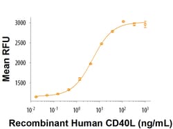 R&D Systems&trade;&nbsp;Recombinant Human CD40 Ligand/TNFSF5 (Histidine-tagged), CF