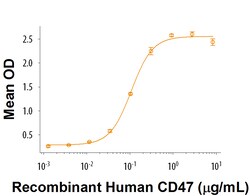 R&D Systems&trade;&nbsp;Recombinant Human CD47 His-tag Protein
