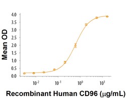 R&D Systems&trade;&nbsp;Recombinant Human CD96 Fc Chimera Protein