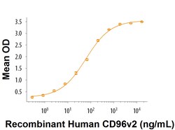 R&D Systems&trade;&nbsp;Recombinant Human CD96v2 Fc Chimera Protein