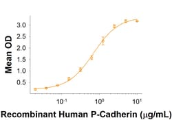 R D Systems Recombinant Human CDCP1 Fc Chimera Protein 50 μg | Buy Online | R&D Systems™ | Fisher Scientific