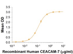 R D Systems Recombinant Human CEACAM-3/CD66d Fc Chimera Protein 50 &mu;g | Buy Online | R&amp;D Systems&trade; | Fisher Scientific