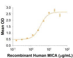 R&D Systems&trade;&nbsp;Recombinant Human CLEC-12B Fc Chimera Protein