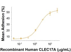 R&D Systems&trade;&nbsp;Recombinant Human CLEC17A Fc Chimera Protein