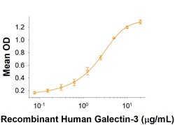 R D Systems Recombinant Human CLEC2L Fc Chimera Protein 50 μg | Buy Online | R&D Systems™ | Fisher Scientific