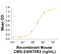 R D Systems Recombinant Mouse CMG-2/ANTXR2 Fc Chimera Protein 50 &mu;g | Buy Online | R&amp;D Systems&trade; | Fisher Scientific