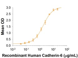 R D Systems Recombinant Human Cadherin-9 Fc Chimera Protein 50 &mu;g | Buy Online | R&amp;D Systems&trade; | Fisher Scientific