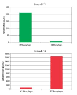 R D Systems CellXVivo Human M2 Macrophage Differentiation Kit 1 Kit:Cell
