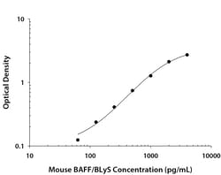 R D Systems Mouse BAFF/BLyS/TNFSF13B DuoSet ELISA 5 x 96-well Plates | Buy Online | R&amp;D Systems&trade; | Fisher Scientific