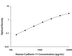 R D Systems Human Cadherin-11 DuoSet ELISA 5 Platten | Buy Online | R&amp;D Systems&trade; | Fisher Scientific
