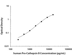 Human Pro-Cathepsin B DuoSet, R&D Systems&trade;