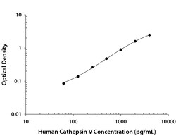 Human Cathepsin V DuoSet, R&D Systems&trade;