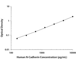 R D Systems Human N-Cadherin DuoSet ELISA 1 Kit (for 5 Plates) | Buy Online | R&amp;D Systems&trade; | Fisher Scientific