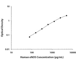 R D Systems Human eNOS DuoSet ELISA:Immunoassay Reagents and Kits, Quantity: