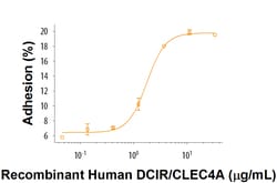 R&D Systems™ Recombinant Human DCIR/CLEC4A Protein