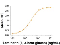 R&D Systems™ Recombinant Human Dectin-1/CLEC7A Fc Chimera Protein