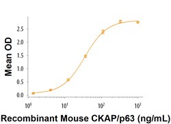R&D Systems&trade;&nbsp;Recombinant Mouse Dkk-1 N-Terminal Fragment Protein
