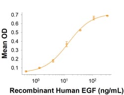 R&D Systems&trade;&nbsp;Recombinant Cynomolgus Monkey EGFR Fc Chimera Protein