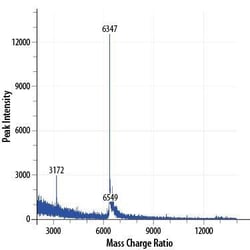R&D Systems&trade;&nbsp;Recombinant Human EGF GMP Protein, CF
