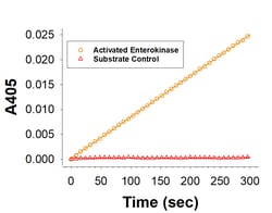 R D Systems Recombinant Human Enteropeptidase/Enterokinase Protein 20 &mu;g | Buy Online | R&amp;D Systems&trade; | Fisher Scientific