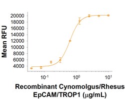 R D Systems Recombinant Cynomolgus/Rhesus EpCAM/TROP1 His Protein 50 &mu;g | Buy Online | R&amp;D Systems&trade; | Fisher Scientific