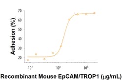 R&D Systems&trade;&nbsp;Recombinant Mouse EpCAM/TROP1 Fc Chimera Protein