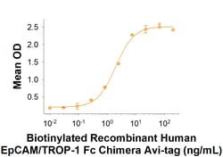 R&D Systems&trade;&nbsp;Recombinant Human EpCAM/TROP1 Fc Chimera Avi-tag Protein
