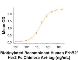 R&D Systems&trade;&nbsp;Recombinant Human ErbB2/Her2 Fc Chimera Avi-tag Protein