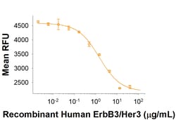R&D Systems&trade;&nbsp;Recombinant Human ErbB3/Her3 His-tag Protein