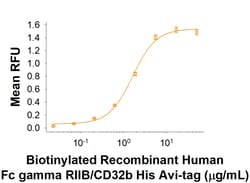 R&D Systems&trade;&nbsp;Recombinant Human Fc gamma RIIB/CD32b Avi-tag Protein