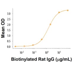 R D Systems Recombinant Rat Fc gamma RIIB/CD32b Protein 100 &mu;g | Buy Online | R&amp;D Systems&trade; | Fisher Scientific