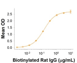 R D Systems Recombinant Rat Fc gamma RI/CD64 Protein Quantity: 100&mu;g | Buy Online | R&amp;D Systems&trade; | Fisher Scientific
