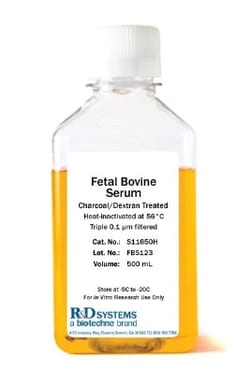 Novus Biologicals™ Fetal Bovine Serum - Charcoal/Dextran Treated, Heat Inactivated