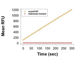 R D Systems Recombinant Cynomolgus Fibroblast Activation Protein alpha 10 &mu;g | Buy Online | R&amp;D Systems&trade; | Fisher Scientific