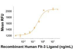 R D Systems Recombinant Human Flt-3 Ligand/FLT3L (E. coli) Protein 100 &mu;g | Buy Online | R&amp;D Systems&trade; | Fisher Scientific