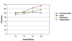 R D Systems Human G-CSF Quantikine QuicKit ELISA 1 Kit | Buy Online | R&amp;D Systems&trade; | Fisher Scientific
