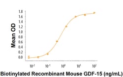 R&D Systems™ Recombinant Mouse GFR alpha-like Fc Chimera Protein