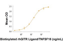 R D Systems Recombinant Cynomolgus Monkey GITR/TNFRSF18 Fc Chimera 100 &mu;g | Buy Online | R&amp;D Systems&trade; | Fisher Scientific