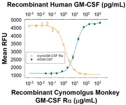R&D Systems&trade;&nbsp;Recombinant Cynomolgus Monkey GM-CSF R alpha His Protein