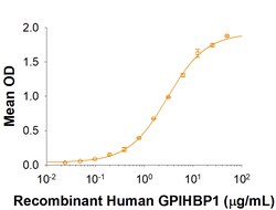R&D Systems&trade;&nbsp;Recombinant Human GPIHBP1 Fc Chimera Protein