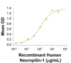 R&D Systems&trade;&nbsp;Recombinant Human GPR158 His-tag Protein