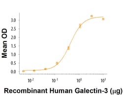 R&D Systems&trade;&nbsp;Recombinant Human Galectin-3BP/MAC-2BP Protein