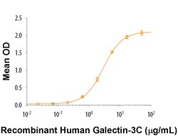 R D Systems Recombinant Human Galectin-3C Protein 50 &mu;g | Buy Online | R&amp;D Systems&trade; | Fisher Scientific